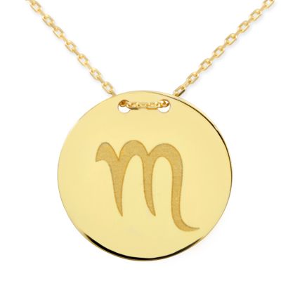 14 Ayar Altın Akrep Burcu Sembolü Plaka Kolye - 1