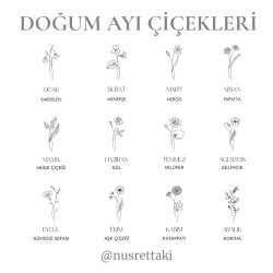 925 Ayar Gümüş Doğum Çiçeği İsim Kolye - Nusrettaki (1)