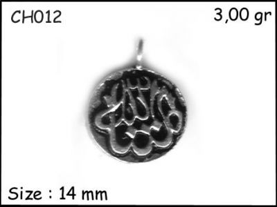 Gümüş Charm Kolye Ucu - CH012 - 1