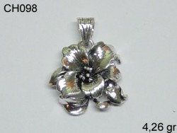 Gümüş Charm Kolye Ucu - CH098 - Nusret